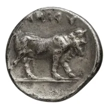 coin rev