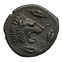 coin rev