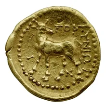 coin rev