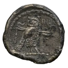 coin rev