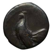 coin obv