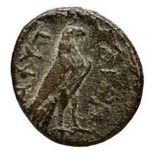 coin rev
