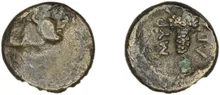 coin rev
