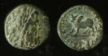 coin rev