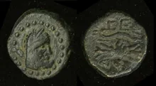 coin rev