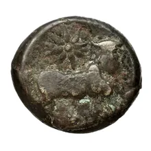 coin rev