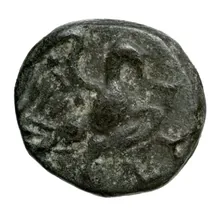 coin rev