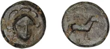 coin rev