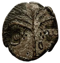 coin obv