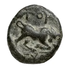 coin rev