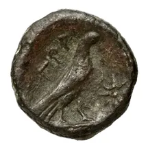 coin rev