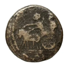 coin rev