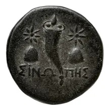 coin rev