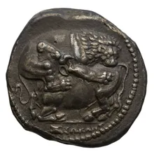coin obv