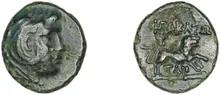 coin rev