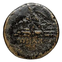coin rev