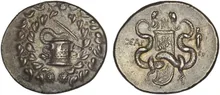 coin rev