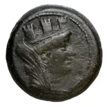 coin obv