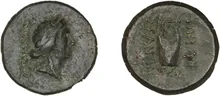 coin rev