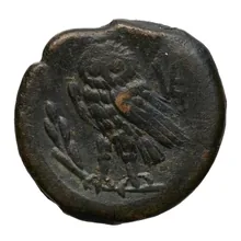 coin rev
