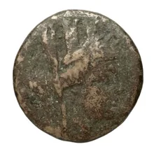 coin obv
