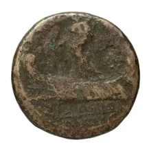 coin rev