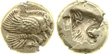 coin rev