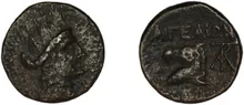 coin rev
