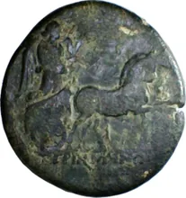 coin rev