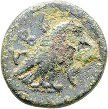 coin rev
