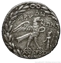 coin rev