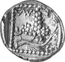 coin rev