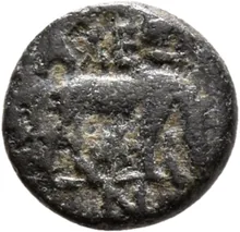 coin rev