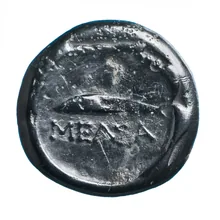 coin rev