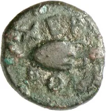 coin rev