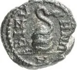 coin rev