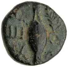 coin rev