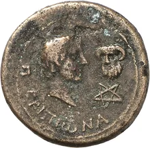 coin rev