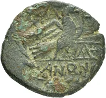 coin rev