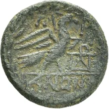 coin rev