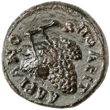 coin rev