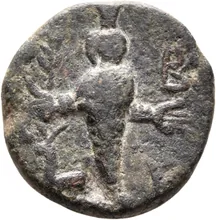 coin rev