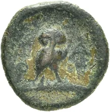 coin rev