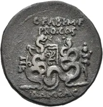 coin rev