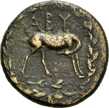 coin rev