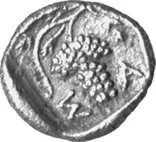 Saratocus rev