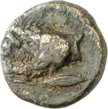 coin rev