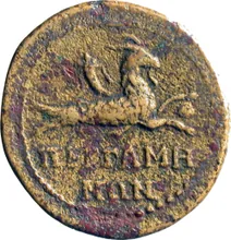 coin rev