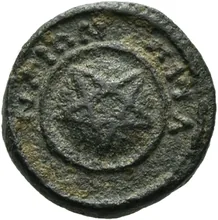 coin rev