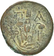 coin rev